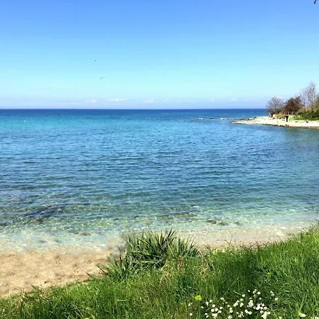 Appartement Toni By Interhome