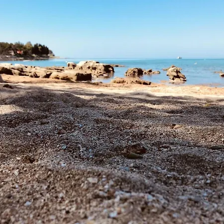 Toni By Interhome Appartement