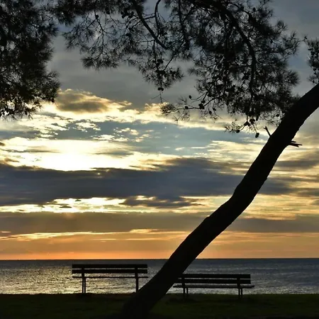 Appartement Toni By Interhome