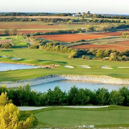 Toni By Interhome Appartement