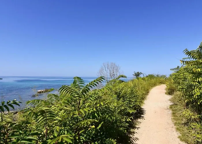 Apartment Toni By Interhome *