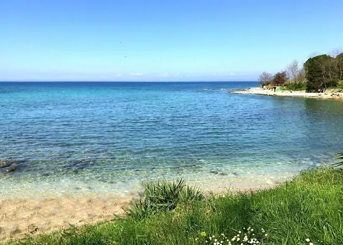 Apartment Toni By Interhome