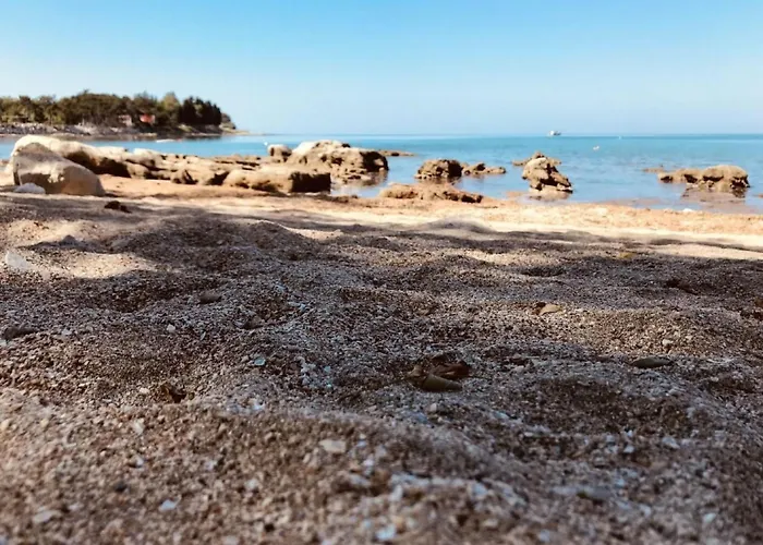 Toni By Interhome Apartment