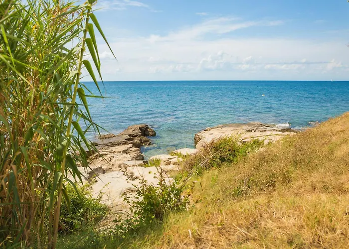 Toni By Interhome Apartment Savudrija